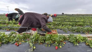 تونس لم تنفق 70 مليار دينارًا في 2022 كما صرح عضو 