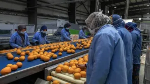 كم يبلُغ عدد العاملين بالقطاع الخاص؟ تصريحات برلمانية 