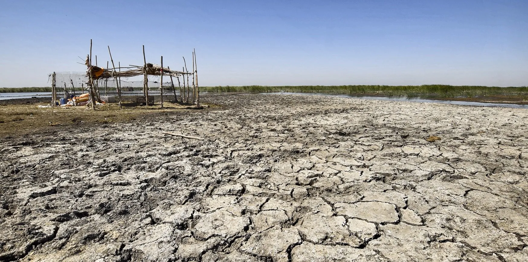 العراق لا يفقد 100 ألف هكتار سنويًا من أراضيه بسبب التصحر