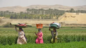 بفروق مئات المليارات.. تضارب في الأرقام الرسمية لمبادرة السيسي 