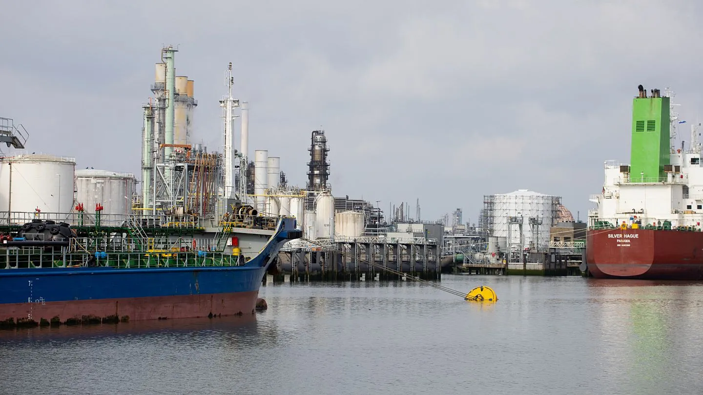 هل تملك روتردام 50% من 