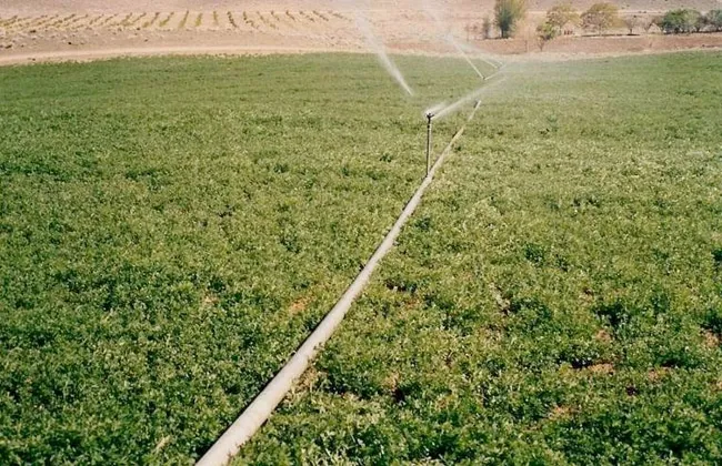 غير دقيق.. هل أضافت مصر 2 مليون فدان للرقعة الزراعية منذ 2015؟