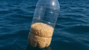 صور جمع إسرائيل زجاجات الطعام المتجهة إلى غزة مضللة ومصنعة بالذكاء الاصطناعي