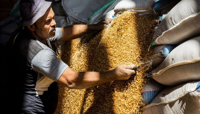 ارتفاع أسعار السكر والحبوب في تونس.. وتصريحات مدير ديوان التجارة 