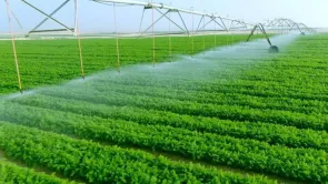 وزير الزراعة المصري لم يعلن استصلاح 3.5 ملايين فدان خلال الـ3 سنوات الأخيرة