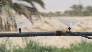 هل يستخدم الفلاّحون في تونس المياه المستعملة للريّ؟ نتحرّى