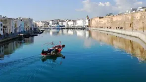 هل حقًا تقع تونس ضمن الـ17 بلدًا الأكثر فقرًا مائيًا؟