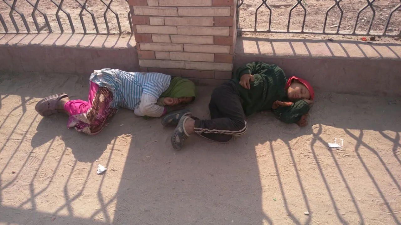 كم مصري بلا مأوى قدمت لهم وزارة التضامن المساعدة عام 2021؟