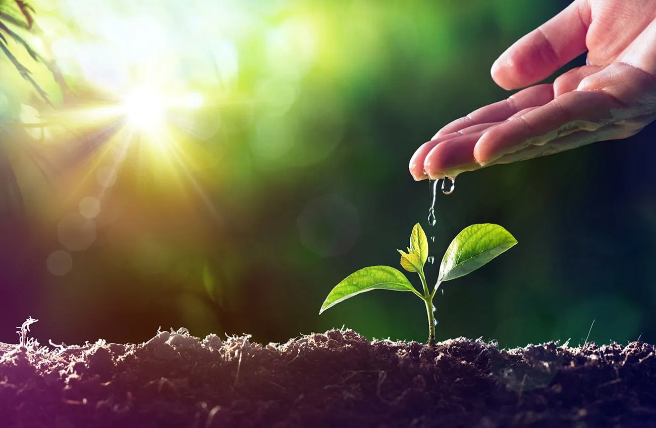 وزيرة البيئة تعلن أرقامًا غير صحيحة عن تمويل مؤتمر عالمي ترأسه مصر