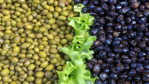 وزير الزراعة يقول إن مصر أكبر دول العالم إنتاجًا للزيتون.. تعرف على ترتيبها الصحيح