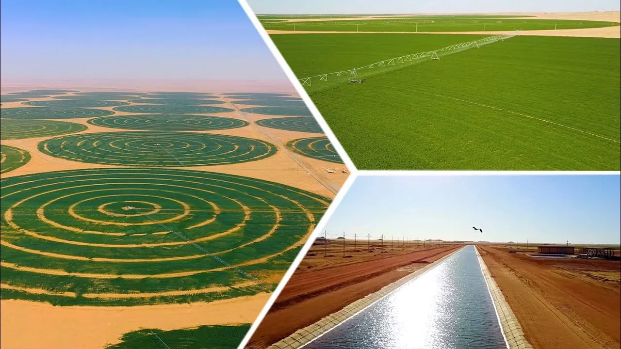 لماذا اختارت وزيرة التخطيط 