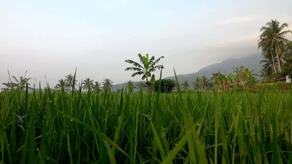 5 أرقام مختلفة لـ 4 مسؤولين حول تكلفة استصلاح الأراضي.. أيهم صحيح؟