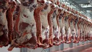 ما هي حقيقة توقف مصر عن استيراد اللحوم البرازيلية من 6 أشهر؟