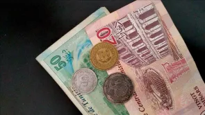 عضو بالحملة التفسيرية للرئيس التونسي يعلن أرقامًأ غير دقيقة عن احتياطي العملة الأجنبية في 2019