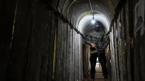 الصور المتداولة لشكل خروج 