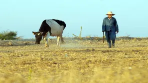 تونس لا تملك أكبر ضيعة للأبقار وتوليد الطاقة.. والصور المنتشرة من 