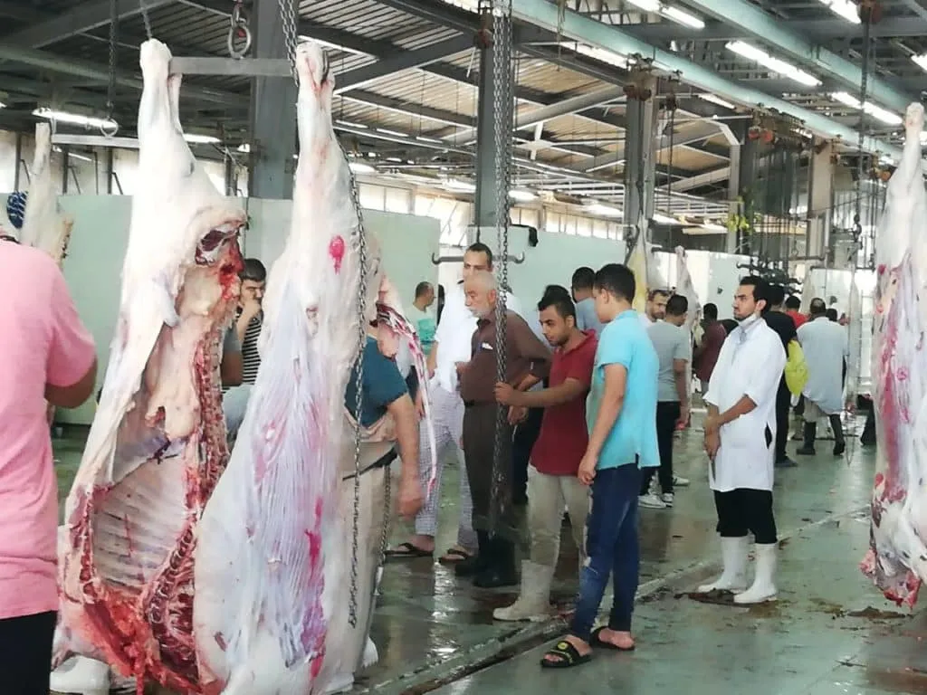 11 مليون جنيه فارق في تصريحات وبيانات المسؤولين حول تكلفة إنشاء مجزر نصف آلي بطنطا