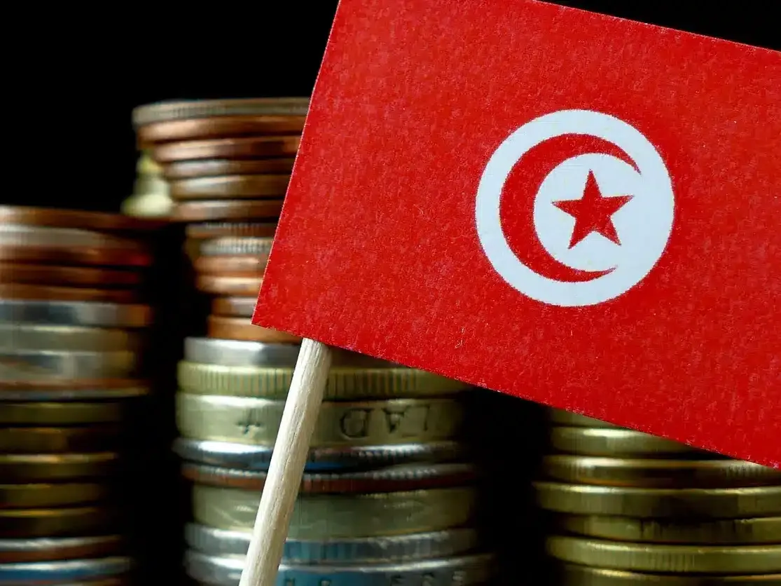 أرقام الخبير التونسي مراد حطاب عن الدين الخارجي 