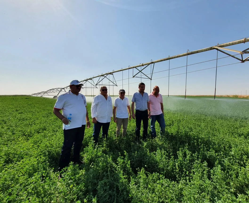 الرقعة الزراعية المصرية لم تزداد 2 مليون فدان بل 700 ألف فدان فقط