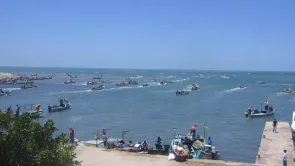 تصريحات رئيس الثروة السمكية عن إنتاج بحيرة المنزلة بعد تطويرها 