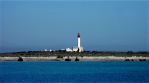 فيديو وجود بواخر فرنسية تسرق النفط التونسي في سواحل المنستير 