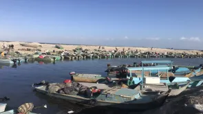 مصر لا تنتج 400 ألف طن أسماك من البحيرات سنويًا