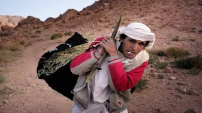 الادعاء بأن السيسي هو من أوقف تملك الأجانب لسيناء وقت حكم 