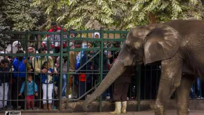 أرقام متضاربة عن عدد زوار حديقة الحيوان إلا أنها 