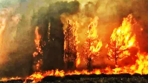 الصور المنسوبة لحرائق 