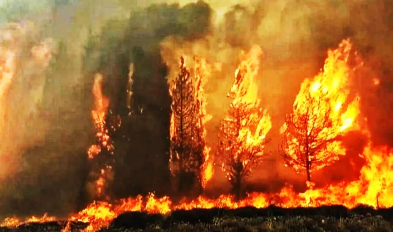 الصور المنسوبة لحرائق 