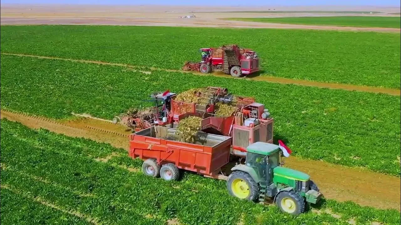 تصريحات “غير دقيقة” عن زيادة الرقعة الزراعية في مصر