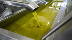 صادرات زيت الزيتون التونسية لم تتطور 43% ولا تمثل 50% من صادراتها الغذائيّة