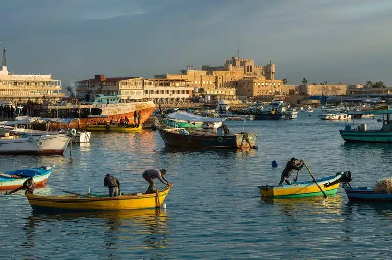 استثمارات الحكومة بالإسكندرية زادت بنسبة أكبر من التي أعلنتها وزيرة التخطيط.. تعرف