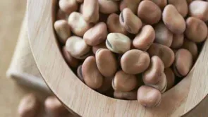 تضارب في الأرقام بين نقيب الفلاحين والغرفة التجارية حول حجم استهلاك وزراعة الفول