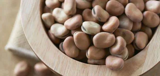 تضارب في الأرقام بين نقيب الفلاحين والغرفة التجارية حول حجم استهلاك وزراعة الفول